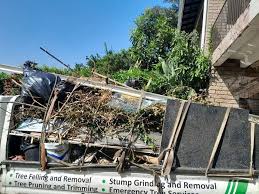 Best Demolition Debris Removal  in Palm Harbor, FL