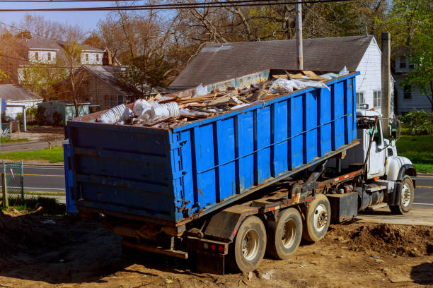 Best Dumpster Rental Services  in Palm Harbor, FL