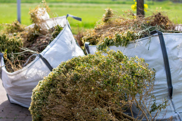 Best Hoarding Cleanup  in Palm Harbor, FL