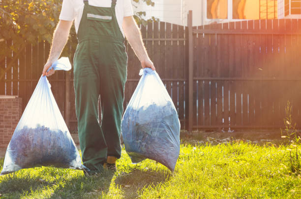 Best Donation Pickup Services  in Palm Harbor, FL