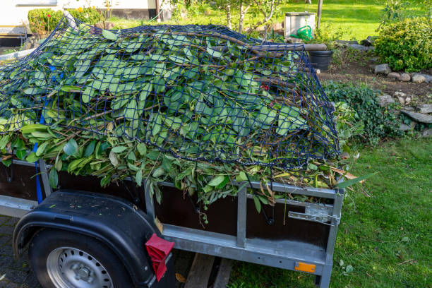 Best Junk Removal for Events  in Palm Harbor, FL